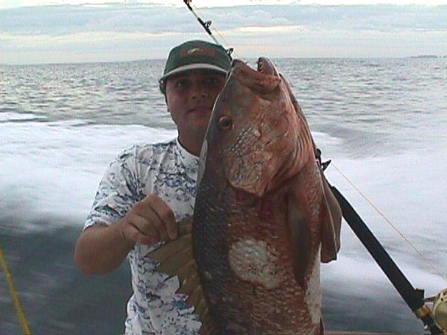 Carlsnapper.jpg (44997 bytes)