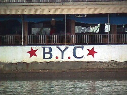 BYC2.jpg (36261 bytes)