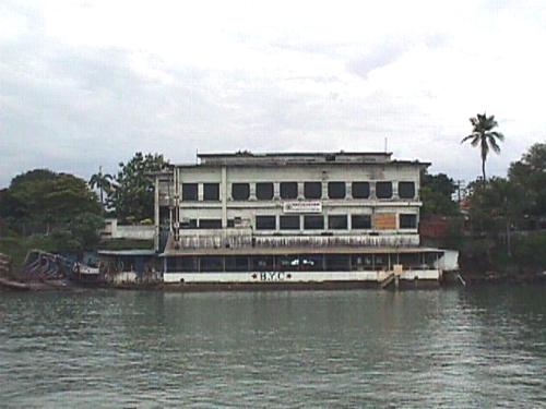 BYC3.jpg (28836 bytes)