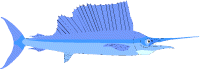 wpe9.gif (3910 bytes)