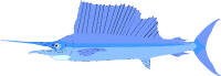 wpe7.gif (3934 bytes)