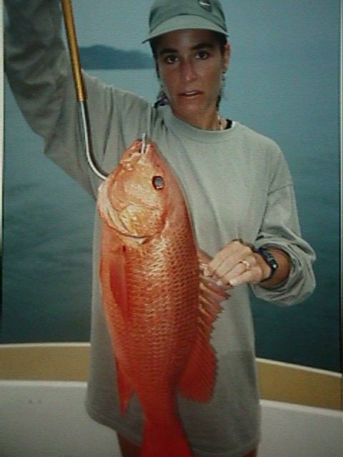 dsnapper.jpg (52808 bytes)