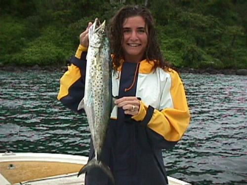mackerel.jpg (38511 bytes)