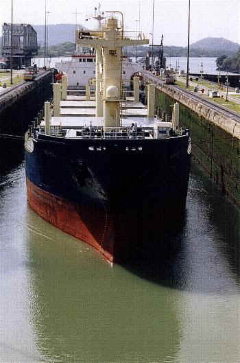 Mf1.jpg (43496 bytes)