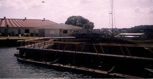 Mf10.JPG (25509 bytes)